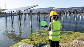 Decarbonisation: Policy and support are key to wider business buy-in