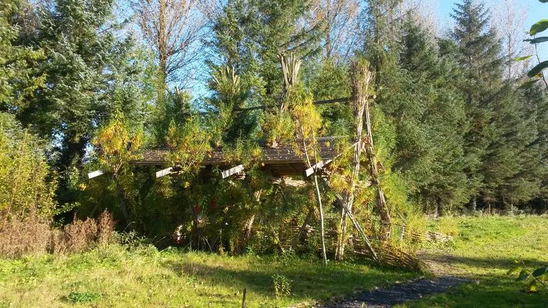 The GMIT Mayo “living willow” outdoor classroom built by students and staff