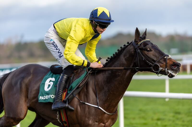 Only the outstanding Barry Connell-owned and trained Marine Nationale in Saturday’s Goffs Irish Arkle disrupts Mullins' dominance in the markets ahead of the Dublin Racing Festival at Leopardstown. Photograph: Morgan Treacy/Inpho
