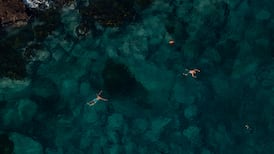 Matt Williams: Be careful not to scare your kids off sport and life