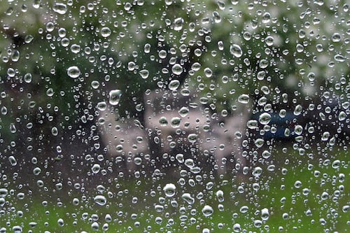 Person caught in downpour while cutting the grass among complaints to Met Éireann