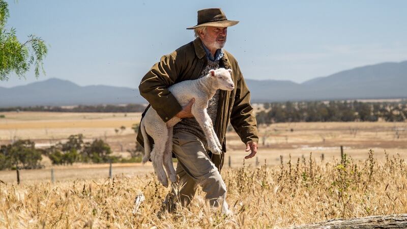 Sam Neill in Rams