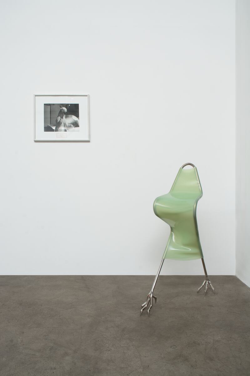 Gurrier: Polar Bear (Ursus Maritimus) – The Chicago Academy of Sciences, Chicago (Ed 1) by Mark Dion; and Untitled by Hannah Levy. Photograph courtesy of the artists and Mother’s Tankstation