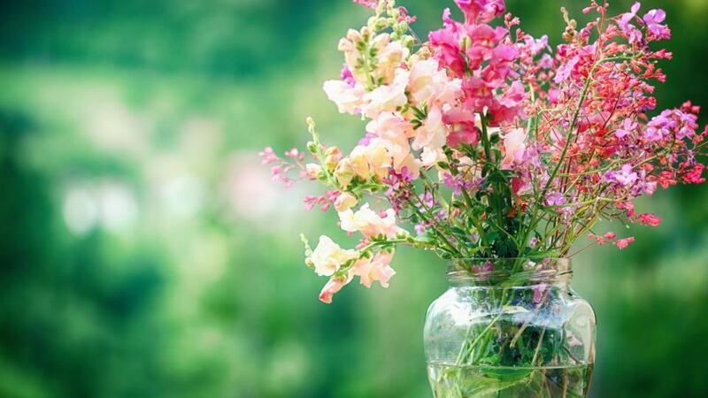 Flower stems should be no longer than two times the height of a vase. Photograph: Getty