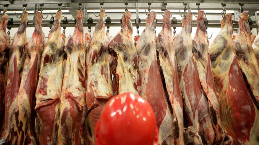 The Department of Agriculture said it was working with meat processors to gain re-entry into the US. Photograph: Paul McErlane/Bloomberg