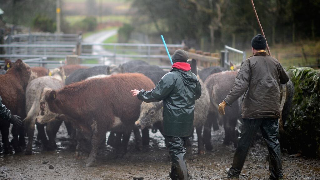 Budget 2020 will come as a ‘profound disappointment’ to farmers, according to the agricultural lobby, which accused the Government of not doing enough to avoid an ‘agricultural armaggedon’.  File photograph: Jeff J Mitchell/Getty Images