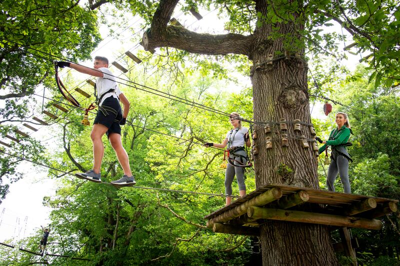 Zipit Forest Adventures at Lough Key Forest Park near Boyle, Co Roscommon