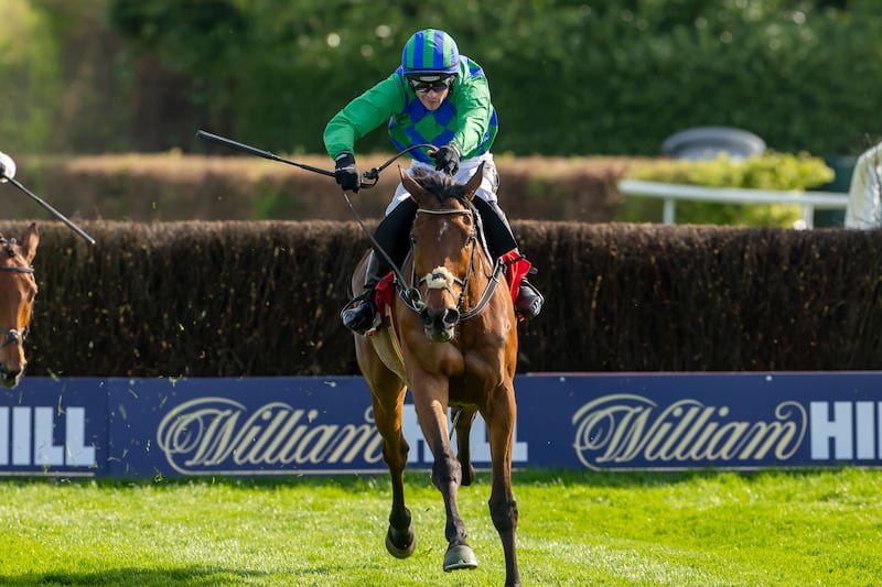 Danny Mullins wins the Dooley Insurance Group Champion Novice Steeplechase on Champ Kiely.
Photograph: Morgan Treacy/Inpho