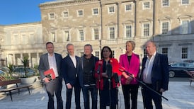 Opposition leaders stop short of no confidence motion in Verona Murphy