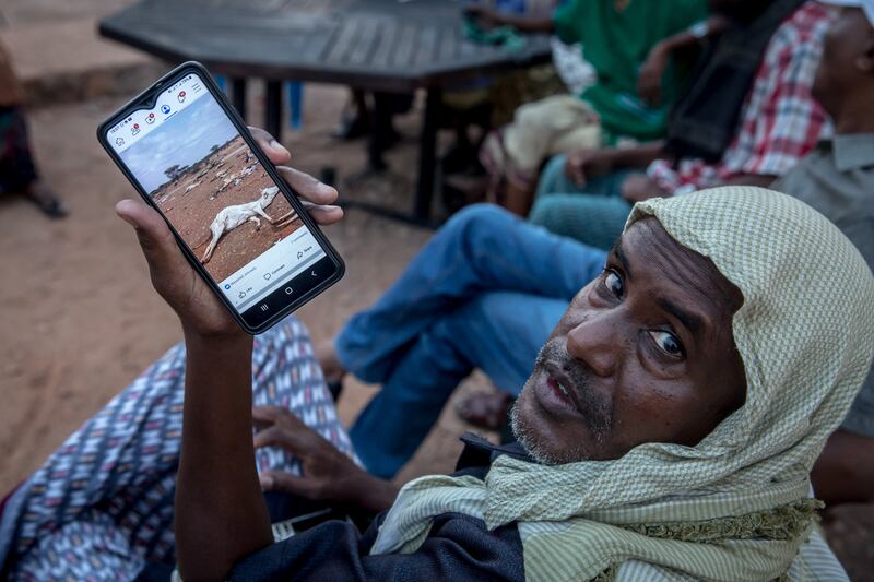 A member of the Dullow drought committee shows a photo he took of livestock which died as a result of the drought. Photograph: Sally Hayden