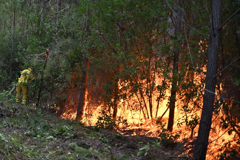 A firefighter creates a controlled burn area to contain a fire near Lege-Cap-Ferret, during wildfires in southwestern France. Photograph: Emma Da Silva/AP