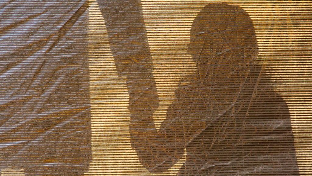 ‘There are people who only know that they may have been the subject of an illegal birth registration due to DNA testing.’ Photograph: iStock