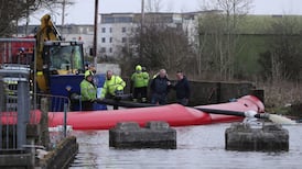 Can worsening floods along Shannon basin be stopped?