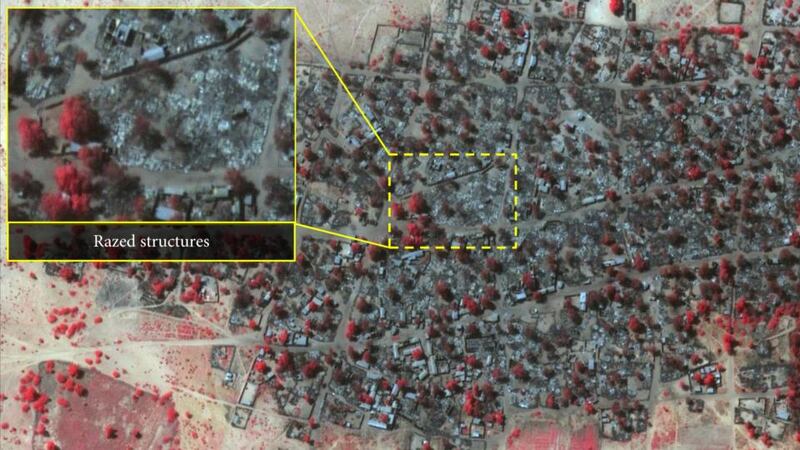 Satellite image of the village of Doro Baga taken five days later. This  image shows the destruction of homes and foliage. Photograph: Amnesty International