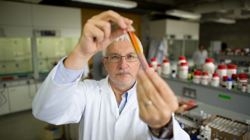 Prof Michael Zaworotko, Bernal Chair of Crystal Engineering and Science Foundation of Ireland Research Professor at University of Limerick’s Bernal Institute, has developed the crystalline material after decades of research. Photograph: Sean Curtin.