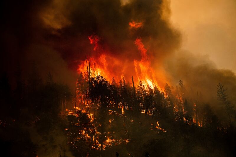 McKinney Fire: It was 0 per cent contained as of Sunday, according to the latest data shared by officials. Photograph: Noah Berger/AP