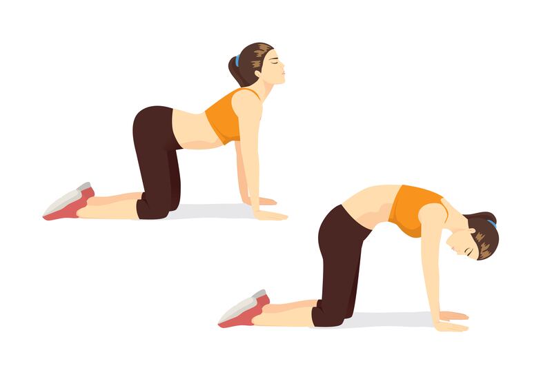 Cat-cow yoga pose in two steps. Photograph: iStock