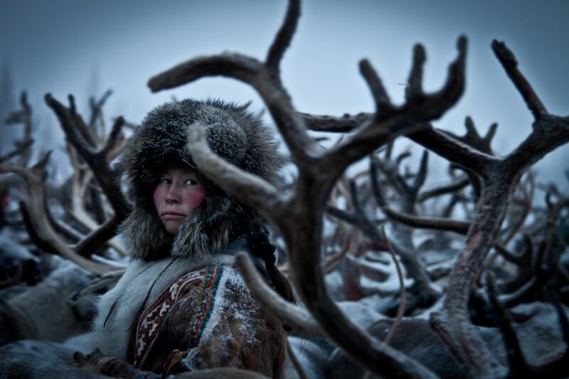 Nenet Woman I, by Lexi Novitske, United States. a woman from Russian Siberia selects reindeer from h