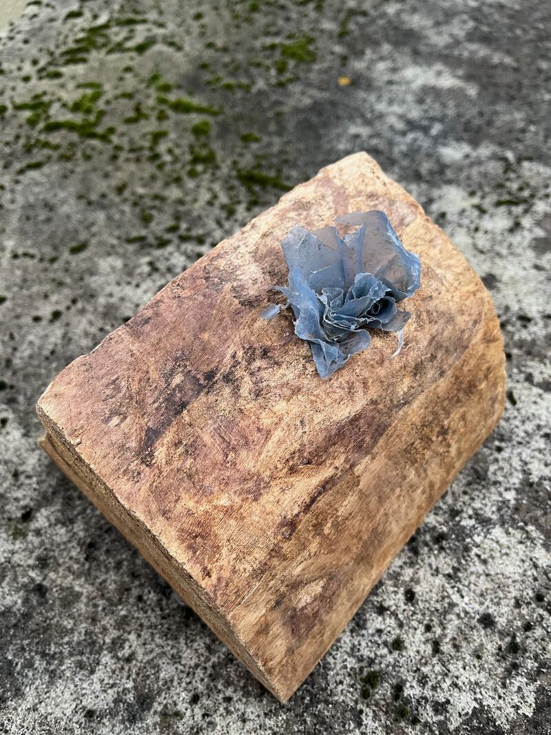 Plastic embedded in log. Photograph supplied by Bernadette Madden