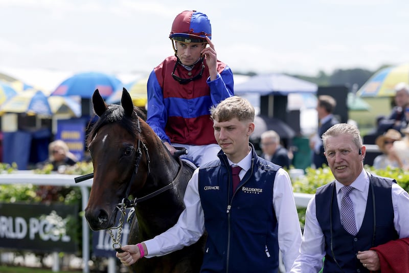 Sergei Diaghilev is currently in the running to compete for Sandown’s Solario Stakes on Saturday. Photograph: Laszlo Geczo/Inpho