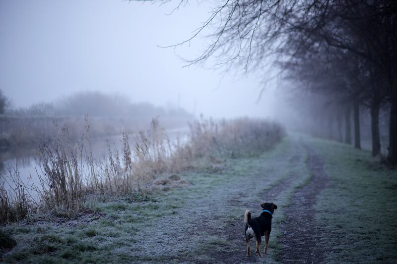 Cold mist and frost on the banks of the Royal Canal in north Dublin today, as the cold snap continues with temperatures hovering around -3 degrees today. Photograph: Chris Maddaloni/The Irish Times
