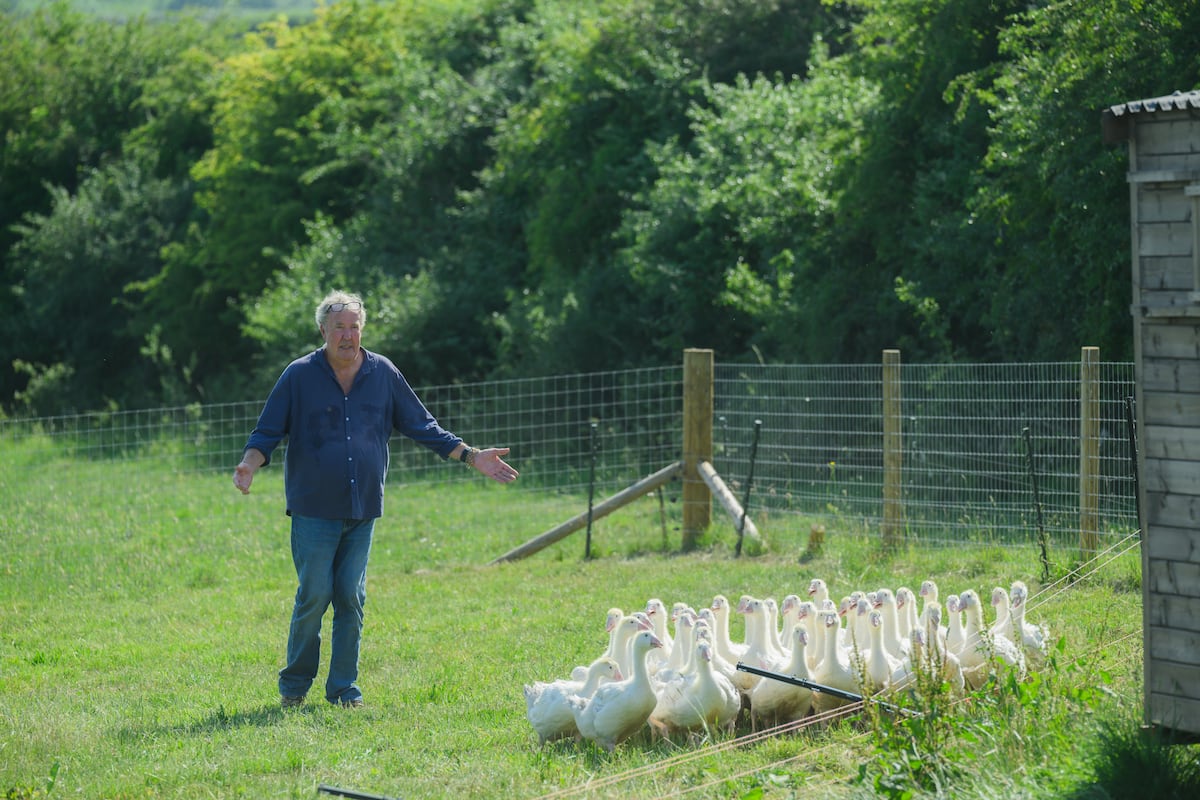 Clarkson’s Farm season five on Prime: A cuddly Jeremy Clarkson? On Diddly Squat farm, pigs truly do fly