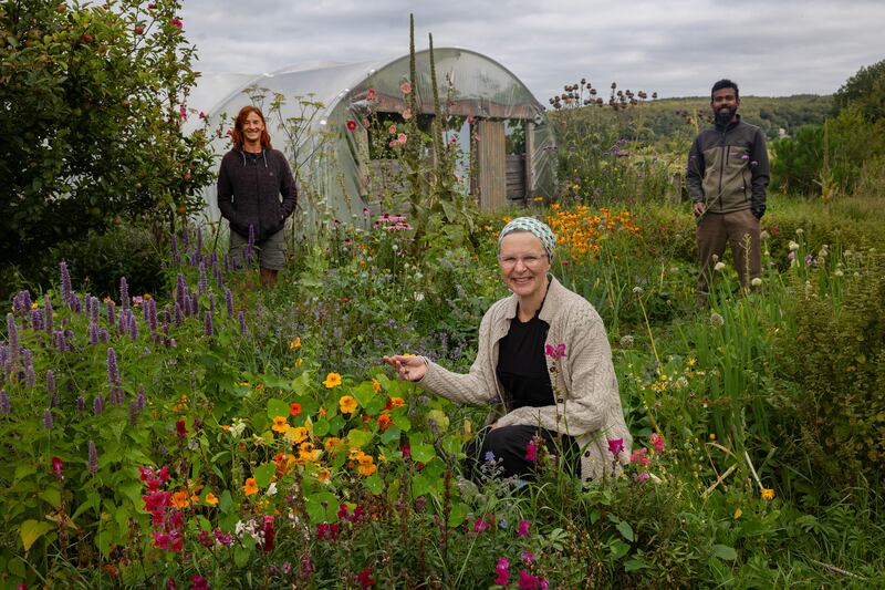 Julie lockett, Sarah Davidson and Arjun Parankusha at Cloughjordan Ecovillage Cuan Beo seed saving centre. Photograph: John D Kelly Photography