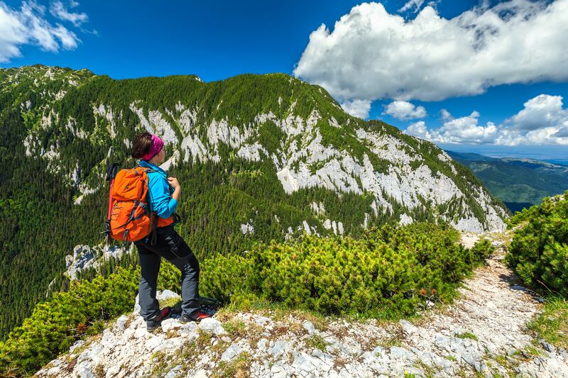 Experience mountain scenery in Transylvania