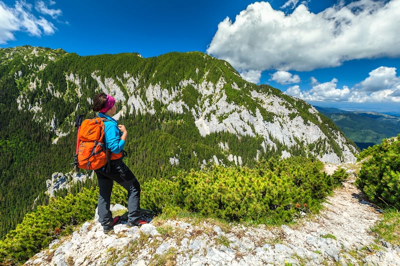 Experience mountain scenery in Transylvania