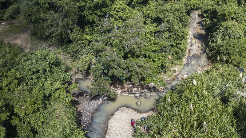 El Yunque in  Puerto Rico, where the river was diverted by Hurricane Maria. Recovering from the storm, in 2019 the island represents so many fragile spots around the globe and tourism could be the key to helping the local economy. Photograph: Tony Cenicola/The New York Times