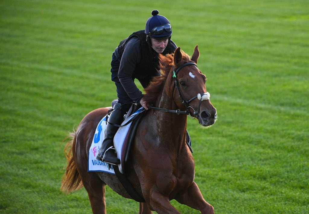 Lexus Melbourne Cup favourite, Vauban during Derby Day Breakfast With The Best gallops at Flemington Racecourse in Melbourne, Australia. Photograph: Vince Caligiuri/Getty Images