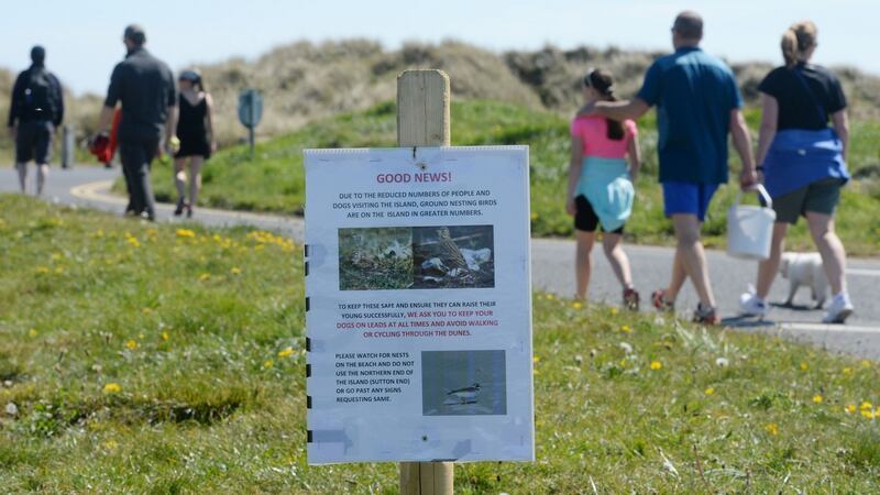 North Bull Island Nature Reserve and Bird Sanctuary where Dublin City Council has asked people to take care while walking around beaches to avoid disturbing birds, such as the ringed plover.Photograph: Alan Betson/The Irish Times