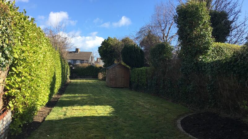 Back garden
