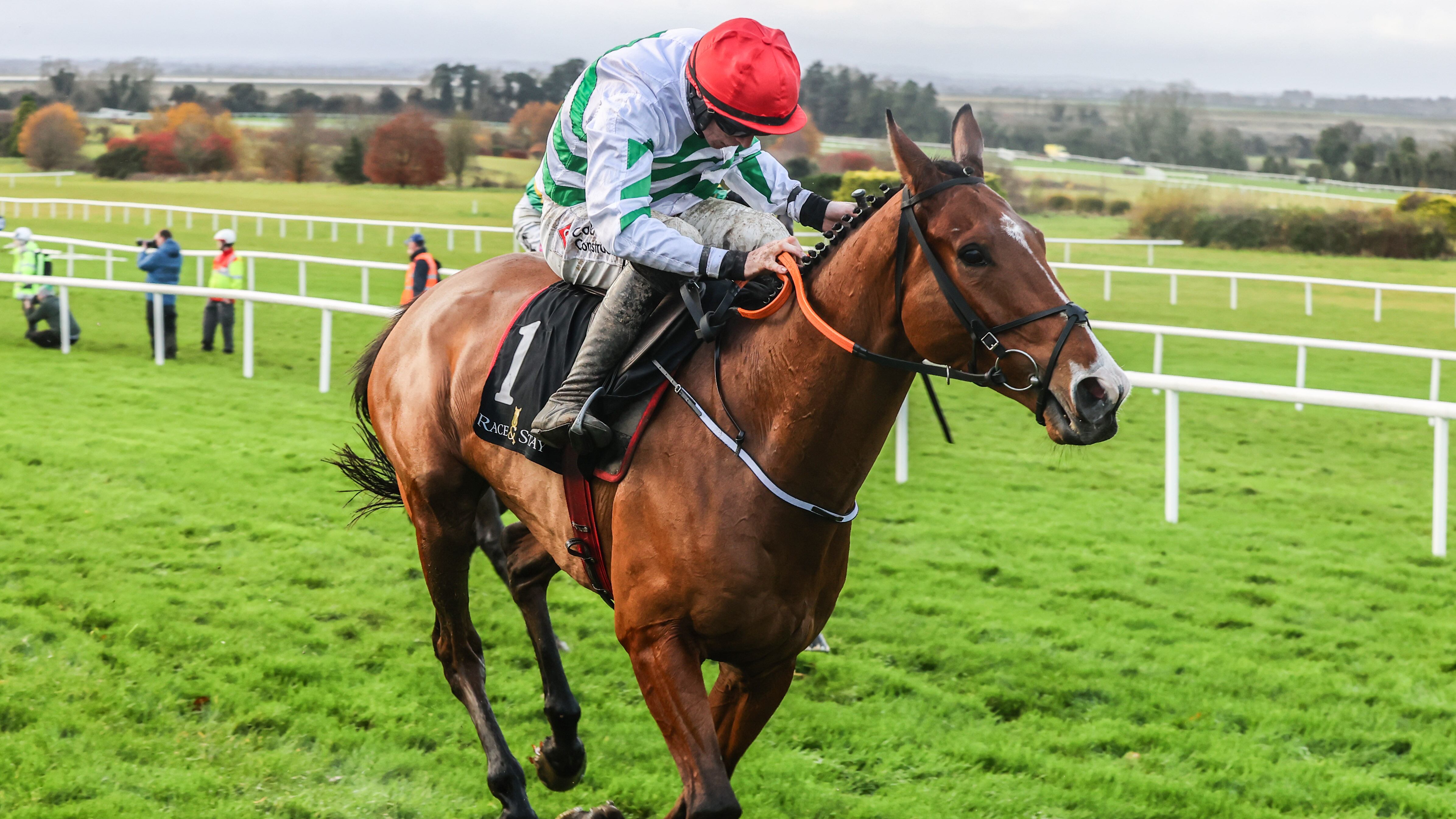 Gordon Elliott aiming to maintain Troytown dominance with strong team topped by American Mike