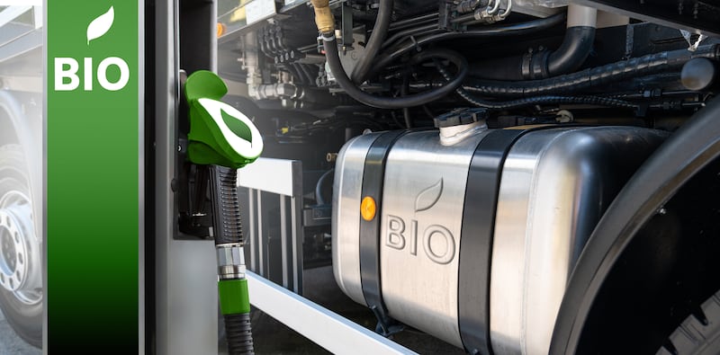 T&E says biofuels cannot be produced sustainably in the amounts needed. Photograph: iStock