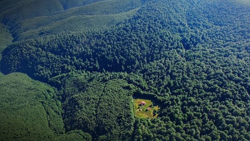 This cabin dating from the 1960’s lies near the largest virgin beech forest in Europe