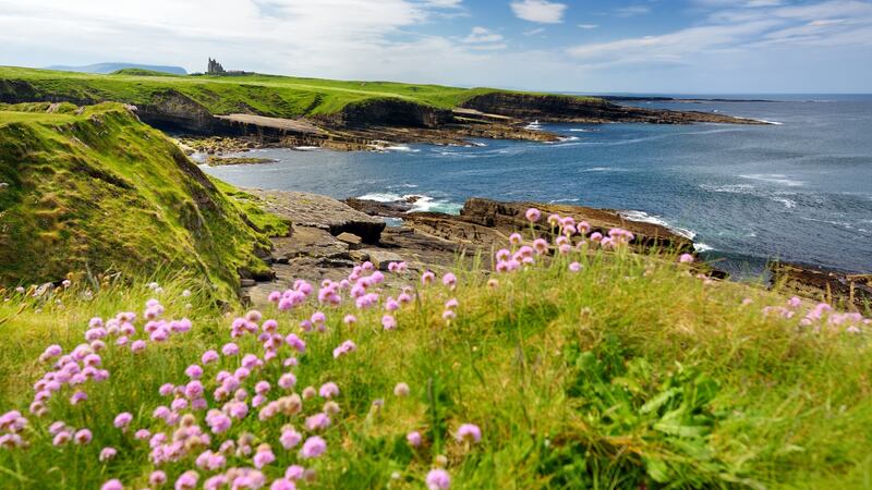 Spectacular view of Mullaghmore Head with waves rolling ashore –  a signature point on the Wild Atlantic Way, Co Sligo