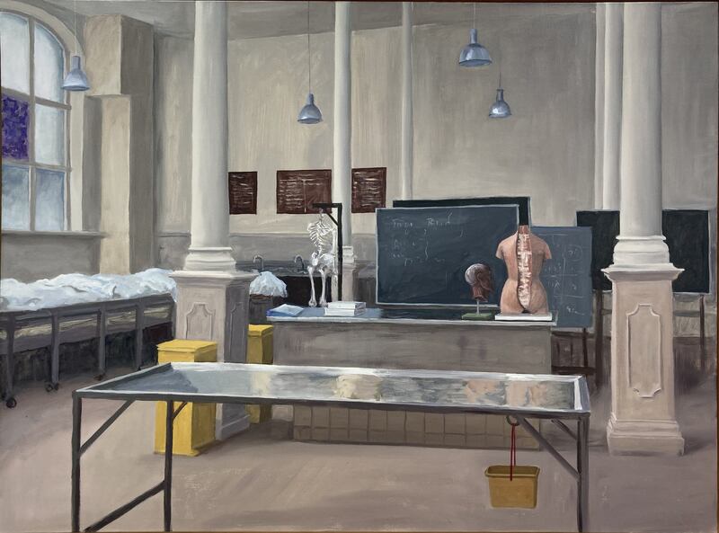 Anatomy Room V (2022) by Eithne Jordan at Crawford Art Gallery, Cork