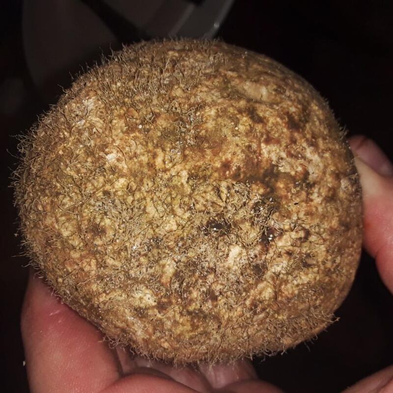 A potato-sized block of ambergris