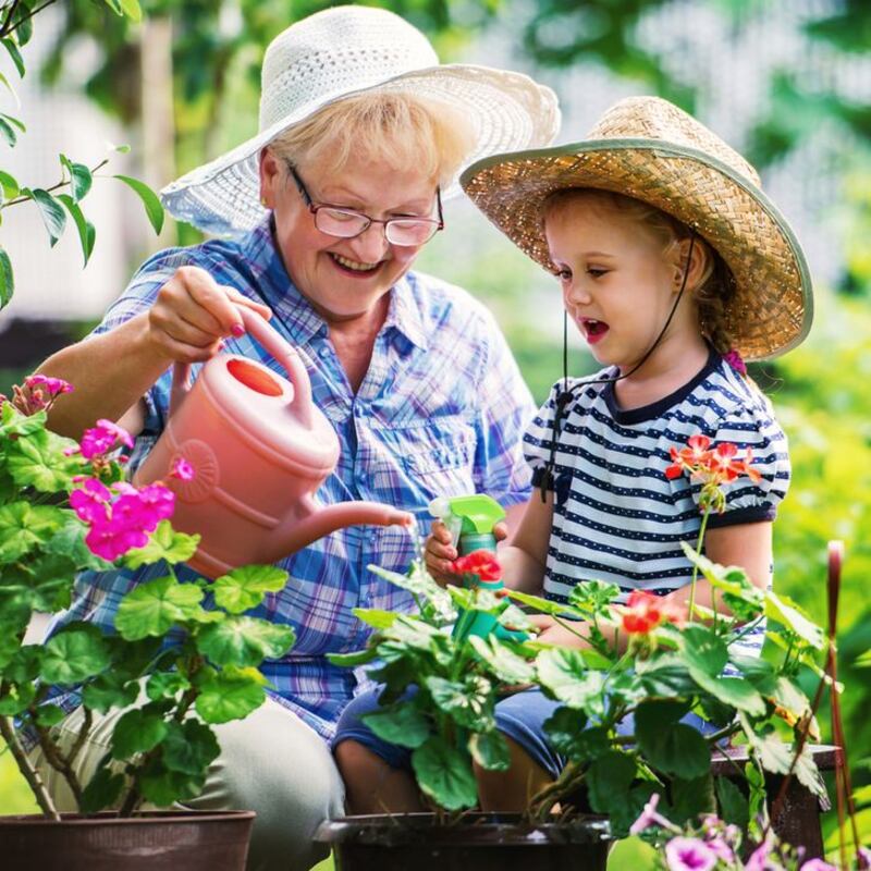 Photograph: iStock