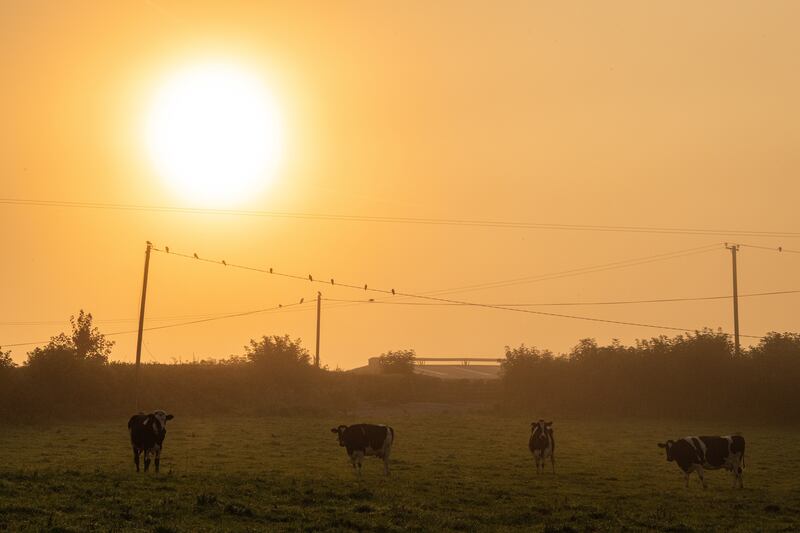 The start of a new day on the farm.