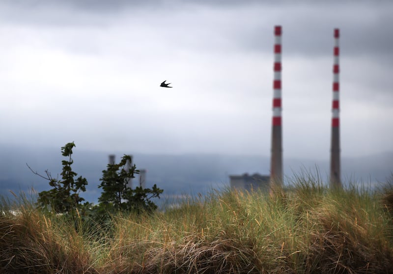 Dublin’s North Bull Island is now home to 180 different bird species. Photograph: Dara Mac Dónaill / The Irish Times