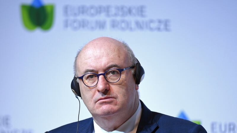 European Commissioner for Agriculture and Rural Development Phil Hogan at the European Agricultural Forum 2019 in Jasionka, Poland, earlier this month. File photograph: Darek Delmanowicz/EPA