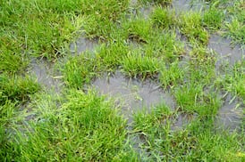 My garden has heavy clay soil that gets waterlogged in winter. What can I do?