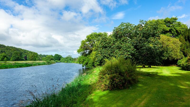 Photograph: Niamh Whitty/pictureitsold.ie