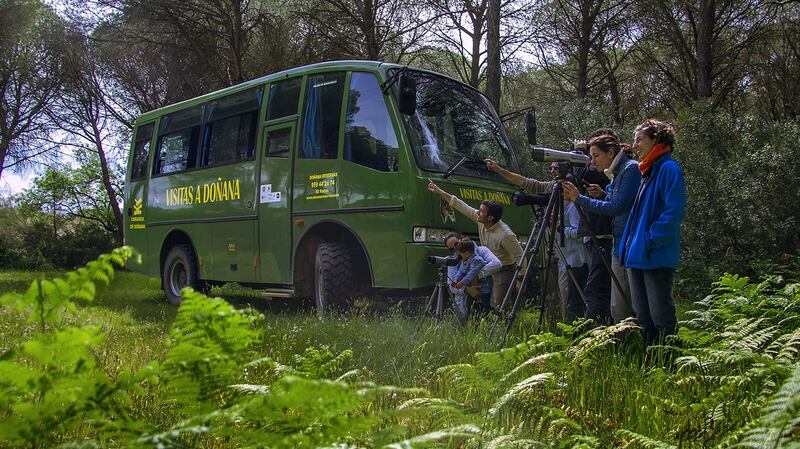 ‘In such an ecologically complex area I wanted to get as close as possible to the different habitats in a responsible way and have an expert explain them to me.’