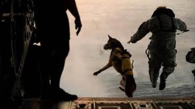 Man and dog in Call of Duty: Ghosts