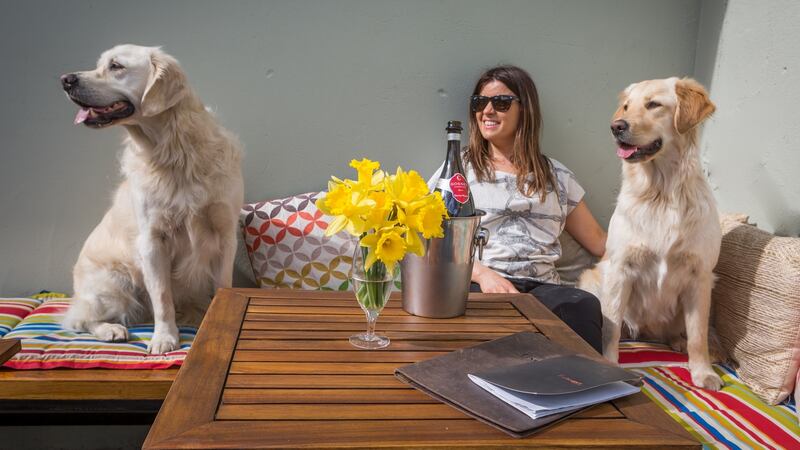The Exchequer is now dog-friendly.