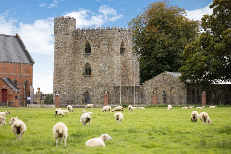 The original home of the Netterville family is a 15th century tower on the lands of Netterville Manor. Photograph: Eamonn Gosling