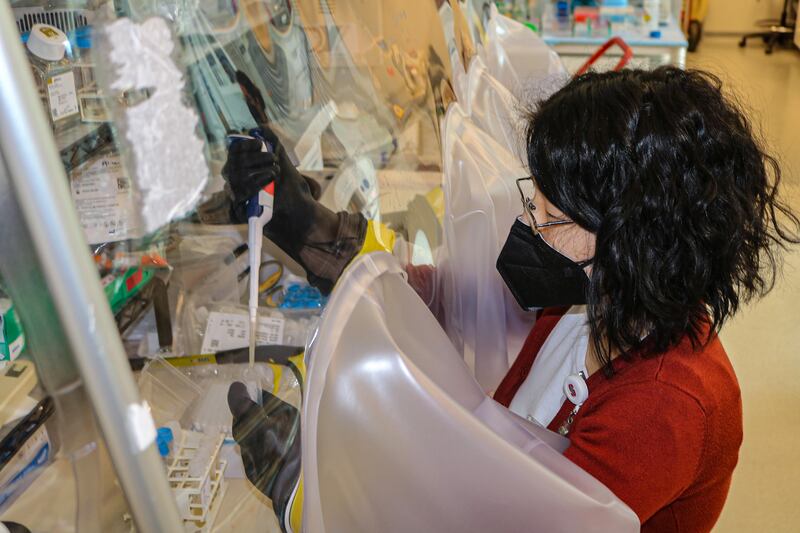 Dr Alice Cheng, a gastroenterologist at Stanford University, is leading the new microbiome study. Photograph: Amy Jacobson/The New York Times